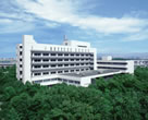 matsushita_pto06